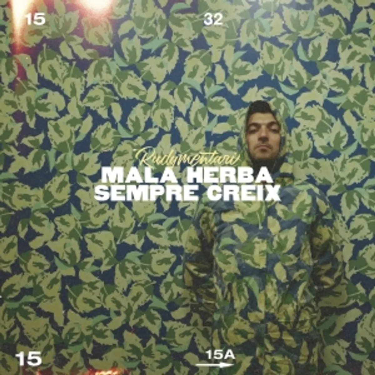 Rudymentari - Mala Herba Sempra Creix (Guspira Records)