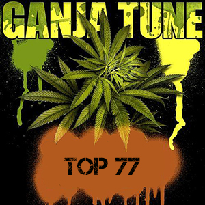 Ganja Top 77