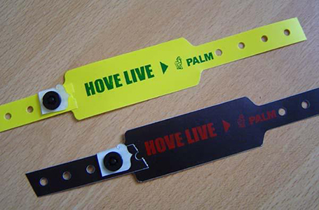 Johnny Clarke @ Hove Live 2004: hoogtepunt van het festivalseizoen!