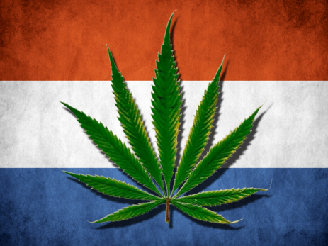 Nederland, mijn gidsland