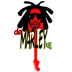 Antwerpse live coverreggae baart nieuw kind